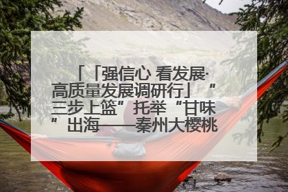 「强信心 看发展·高质量发展调研行」“三步上篮”托举“甘味”出海——秦州大樱桃高质量发展动作分解