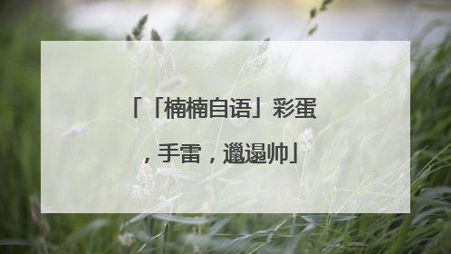 「楠楠自语」彩蛋，手雷，邋遢帅