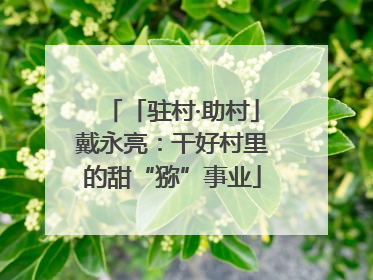 「驻村·助村」戴永亮：干好村里的甜“猕”事业