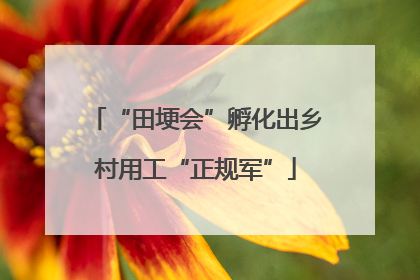 “田埂会”孵化出乡村用工“正规军”