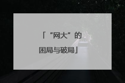 “网大”的困局与破局