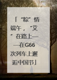 “粽”情端午，“艾”在路上——在G66次列车上邂逅中国节