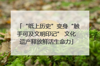 “纸上历史”变身“触手可及文明印记” 文化遗产释放鲜活生命力