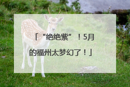 “绝绝紫”！5月的福州太梦幻了！