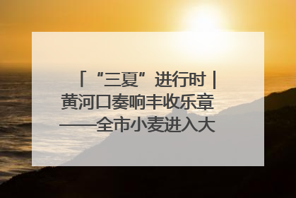“三夏”进行时｜黄河口奏响丰收乐章——全市小麦进入大面积收获高峰期