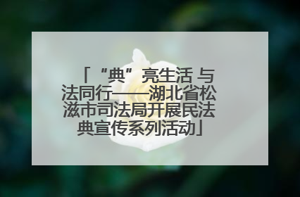 “典”亮生活 与法同行——湖北省松滋市司法局开展民法典宣传系列活动