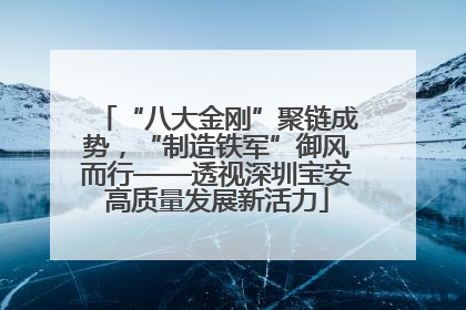 “八大金刚”聚链成势，“制造铁军”御风而行——透视深圳宝安高质量发展新活力