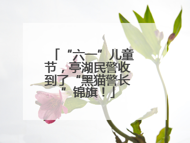 “六一”儿童节，亭湖民警收到了“黑猫警长”锦旗！