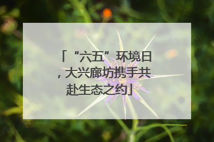 “六五”环境日，大兴廊坊携手共赴生态之约
