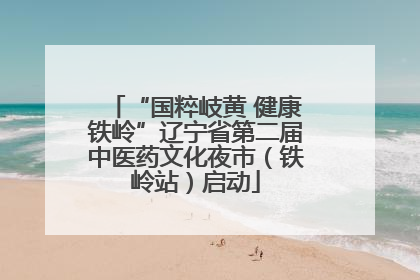 “国粹岐黄 健康铁岭”辽宁省第二届中医药文化夜市（铁岭站）启动