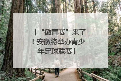 “徽青赛”来了！安徽将举办青少年足球联赛