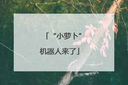 “小萝卜”机器人来了