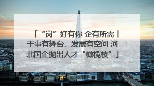 “岗”好有你 企有所需丨干事有舞台、发展有空间 河北国企抛出人才“橄榄枝”
