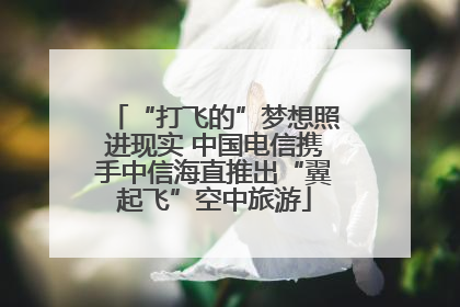 “打飞的”梦想照进现实 中国电信携手中信海直推出“翼起飞”空中旅游