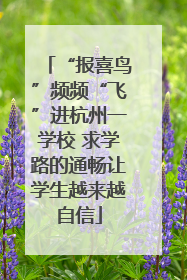 “报喜鸟”频频“飞”进杭州一学校 求学路的通畅让学生越来越自信