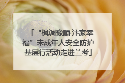 “枫调豫顺·汴家幸福”未成年人安全防护基层行活动走进兰考