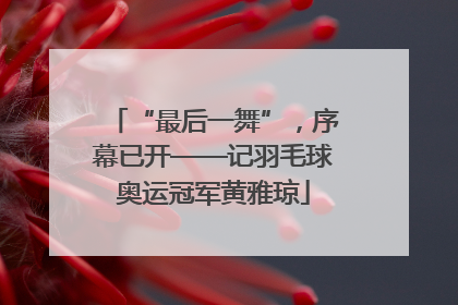 “最后一舞”，序幕已开——记羽毛球奥运冠军黄雅琼