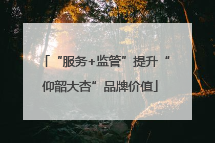 “服务+监管”提升“仰韶大杏”品牌价值