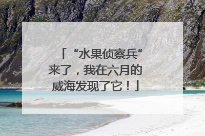 “水果侦察兵”来了，我在六月的威海发现了它！