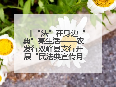 “法”在身边“典”亮生活——农发行双峰县支行开展“民法典宣传月”活动