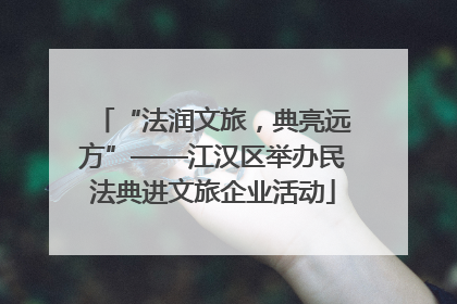 “法润文旅，典亮远方”——江汉区举办民法典进文旅企业活动