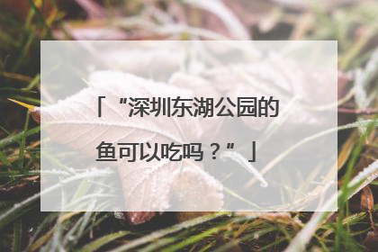 “深圳东湖公园的鱼可以吃吗？”