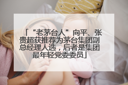 “老茅台人”向平、张贵超获推荐为茅台集团副总经理人选，后者是集团最年轻党委委员