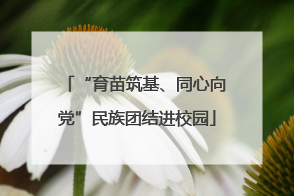 “育苗筑基、同心向党”民族团结进校园