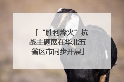 “胜利烽火”抗战主题展在华北五省区市同步开展