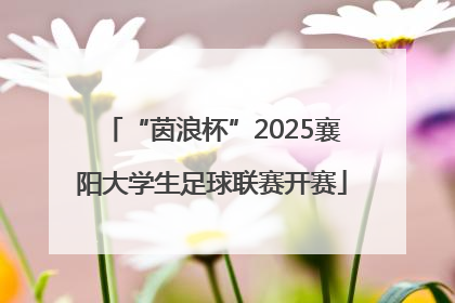 “茵浪杯”2025襄阳大学生足球联赛开赛