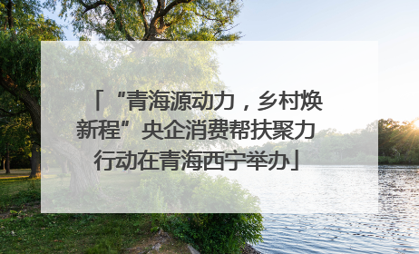“青海源动力，乡村焕新程”央企消费帮扶聚力行动在青海西宁举办