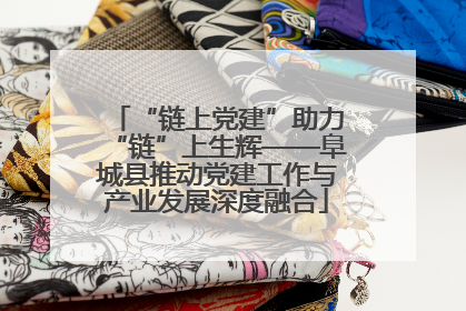 “链上党建”助力“链”上生辉——阜城县推动党建工作与产业发展深度融合
