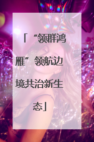 “领群鸿雁”领航边境共治新生态
