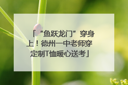 “鱼跃龙门”穿身上！德州一中老师穿定制T恤暖心送考