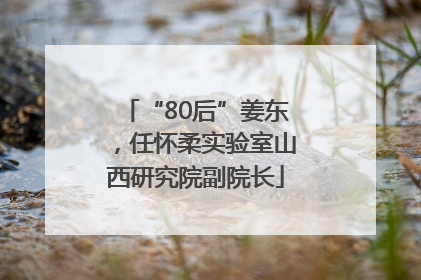 “80后”姜东，任怀柔实验室山西研究院副院长