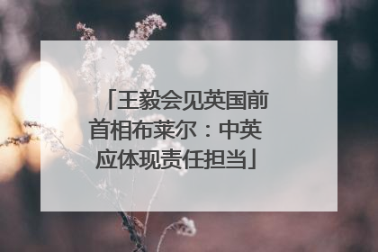 王毅会见英国前首相布莱尔：中英应体现责任担当