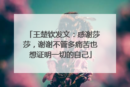 王楚钦发文：感谢莎莎，谢谢不管多痛苦也想证明一切的自己