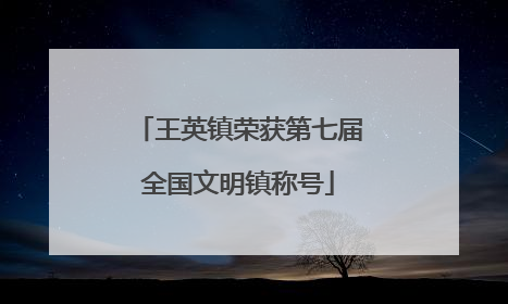 王英镇荣获第七届全国文明镇称号