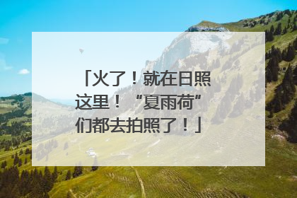 火了！就在日照这里！“夏雨荷”们都去拍照了！