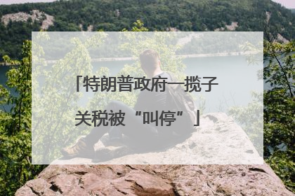 特朗普政府一揽子关税被“叫停”