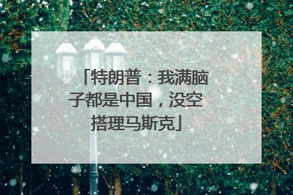 特朗普：我满脑子都是中国，没空搭理马斯克