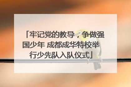 牢记党的教导，争做强国少年 成都成华特校举行少先队入队仪式