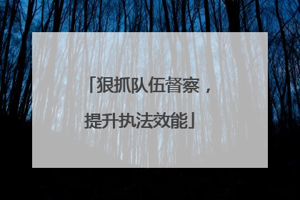 狠抓队伍督察，提升执法效能