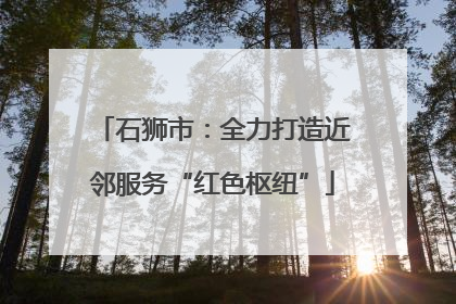 石狮市：全力打造近邻服务“红色枢纽”