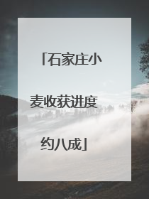 石家庄小麦收获进度约八成