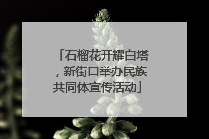 石榴花开耀白塔，新街口举办民族共同体宣传活动