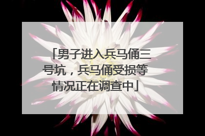 男子进入兵马俑三号坑，兵马俑受损等情况正在调查中