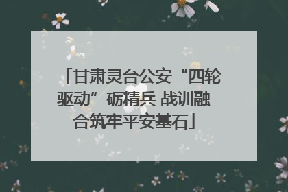 甘肃灵台公安“四轮驱动”砺精兵 战训融合筑牢平安基石