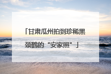 甘肃瓜州拍到珍稀黑颈鹤的“安家照”