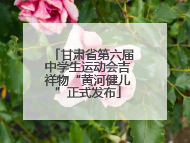 甘肃省第六届中学生运动会吉祥物“黄河健儿”正式发布